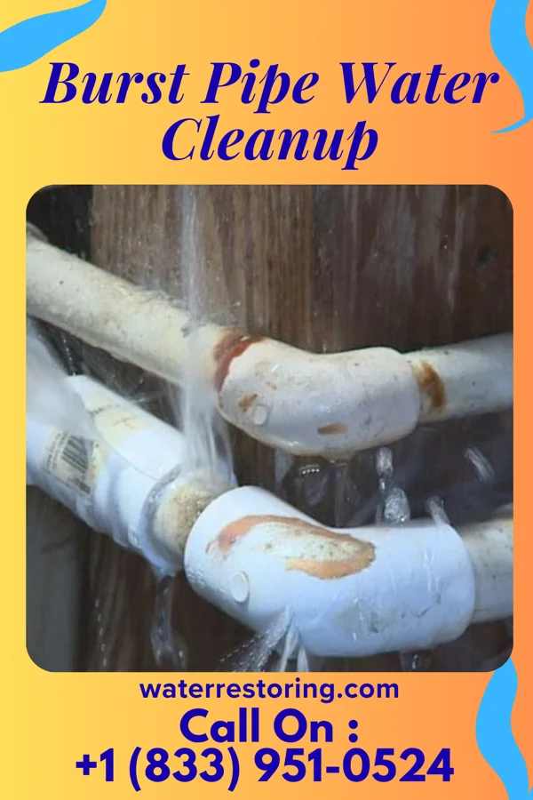 Burst Pipe Water Cleanup in Springdale, PA