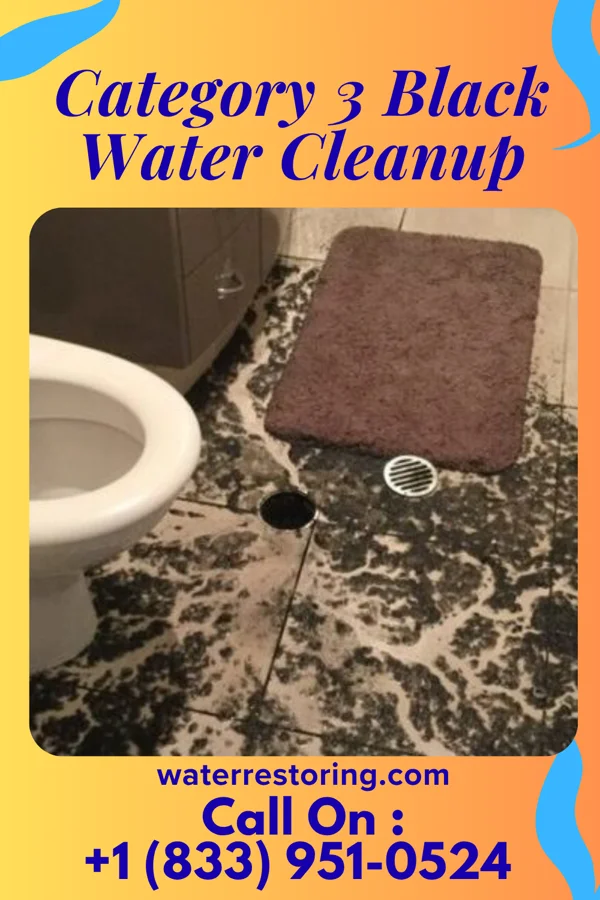 Category 3 Black Water Cleanup in Springdale, PA