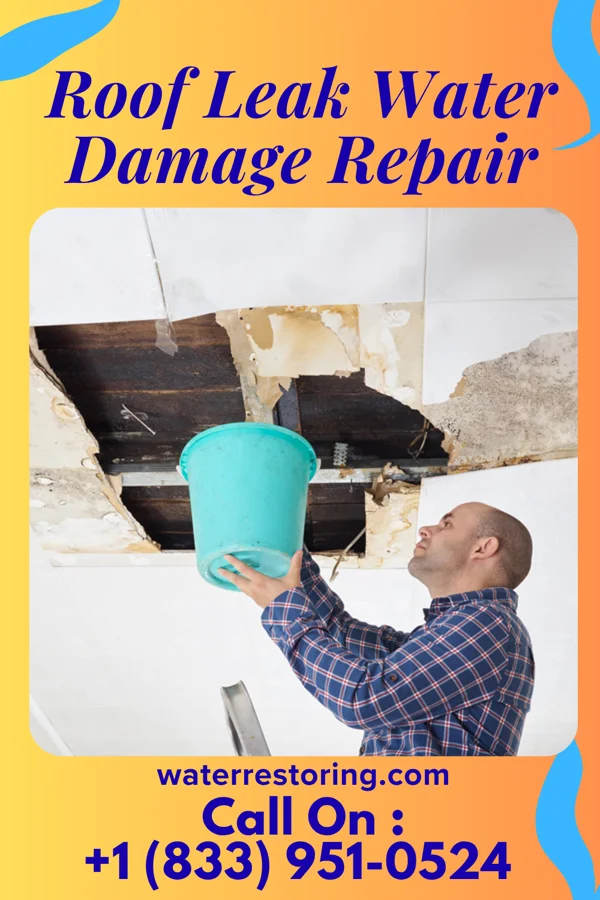 Roof Leak Water Damage Repair in Springdale, PA